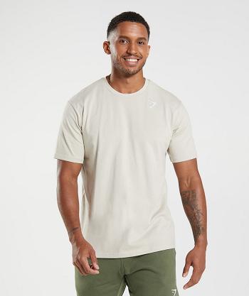 Gymshark Crest T Shirts Herr Grå | SE 3764ILH